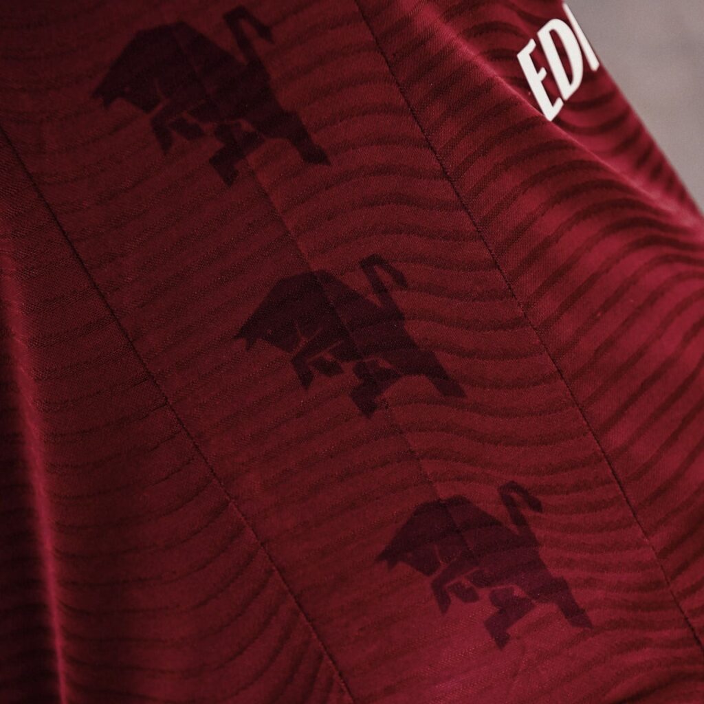 Torino FC Jersey Local 2023-24