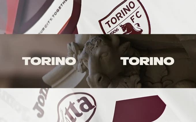 Torino FC Jersey Visitante 2023-24 Joma